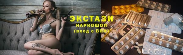 гашик Козловка