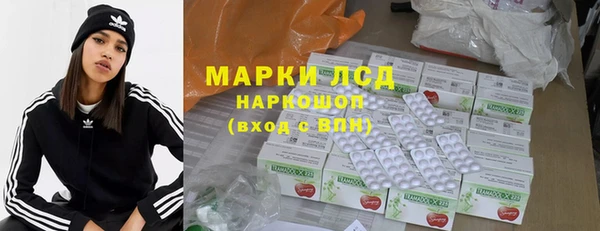 гашик Козловка
