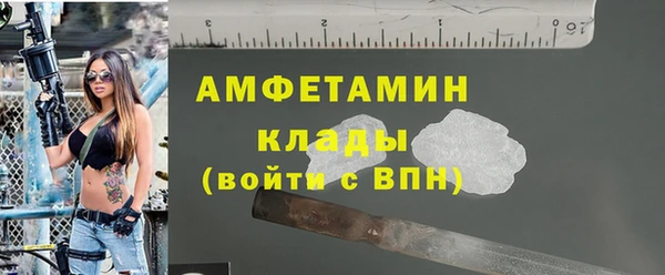 гашик Козловка