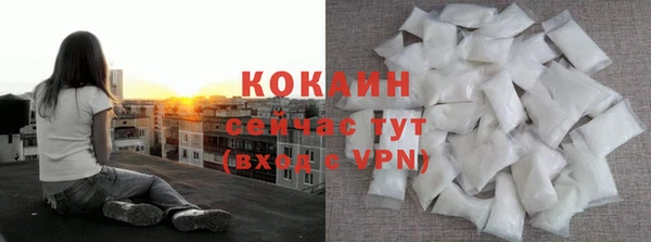 гашик Козловка