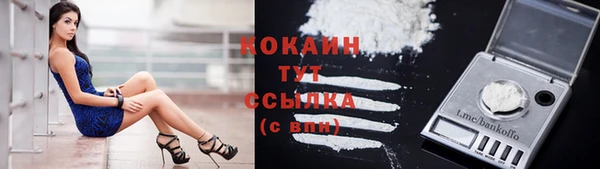 ешки Козельск
