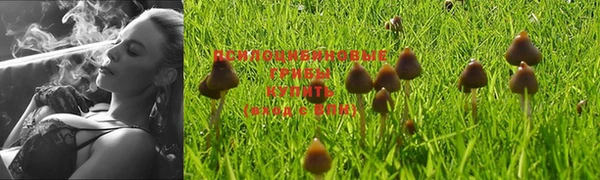ешки Козельск