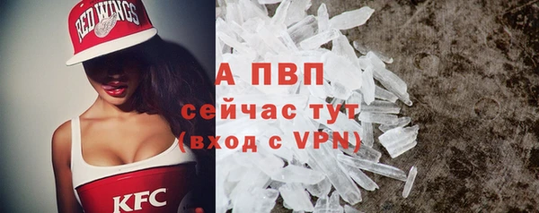 стаф Артём