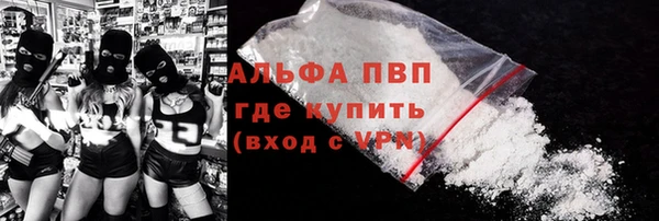 гашик Козловка